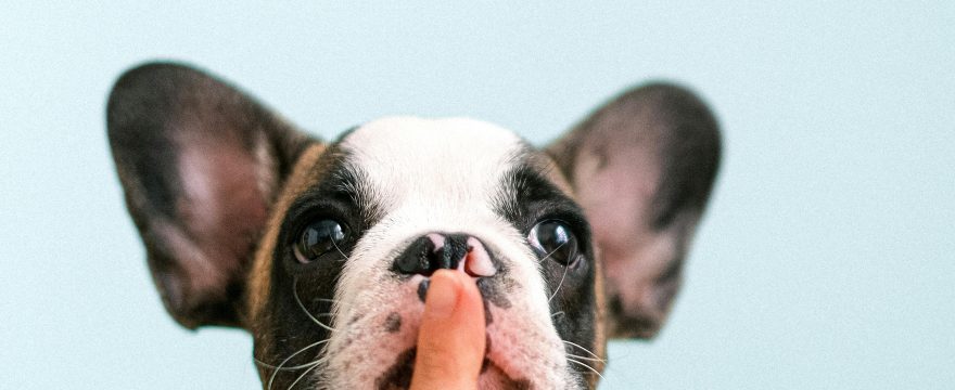 Silent Video and “Sound-Off” Social Media Design: Capturing Attention Without Audio