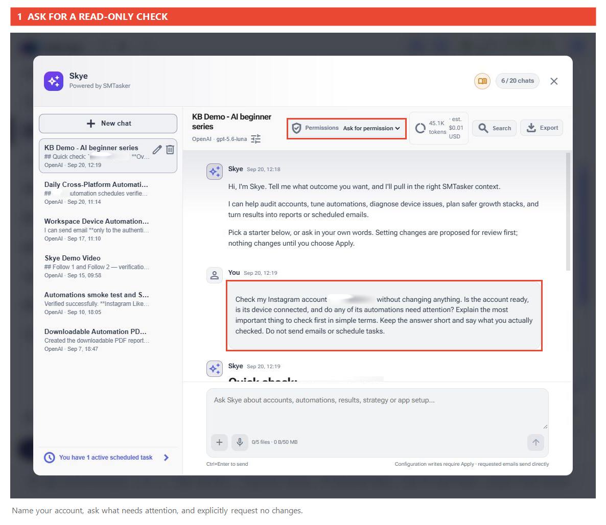 Full Skye conversation showing the actual read-only account-check prompt, with the private username blurred.