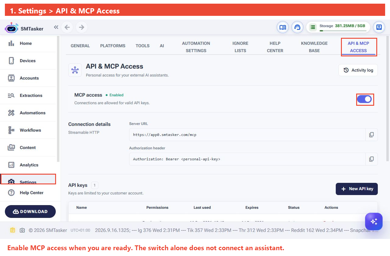 Full SMTasker settings screen with Settings, API and MCP Access, and the access switch outlined.