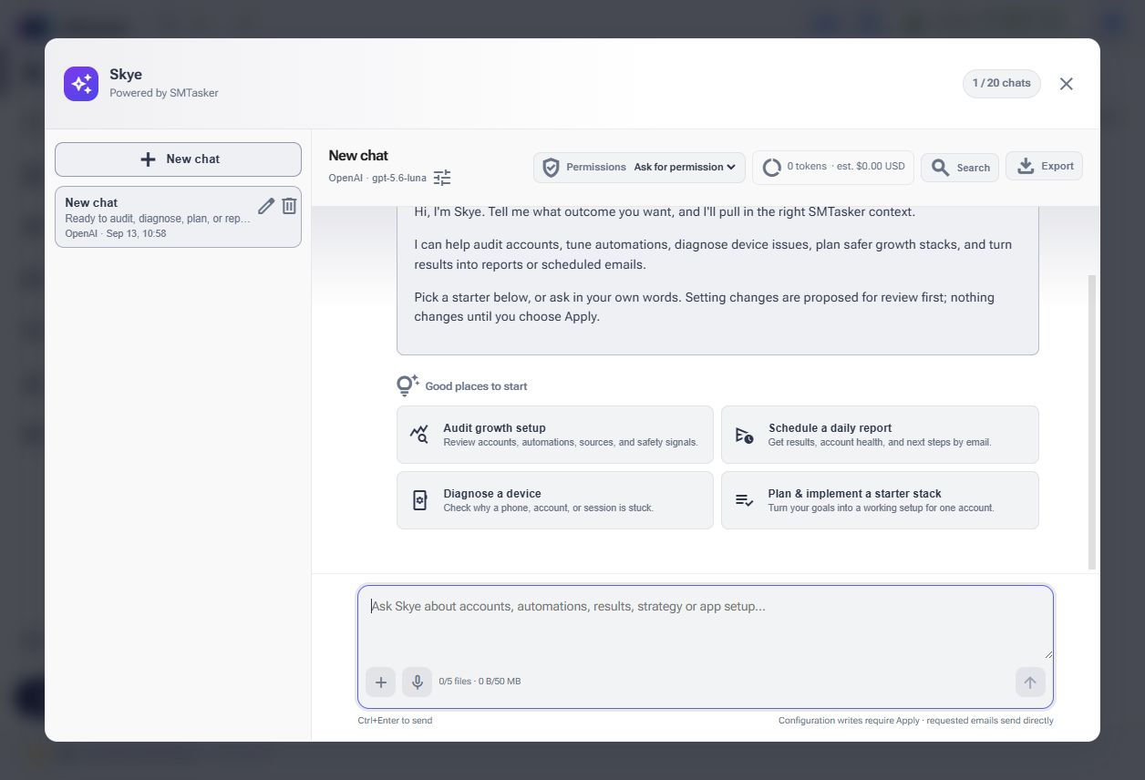 Skye welcome window with New chat on the left, model and permissions across the top, and a message box at the bottom
