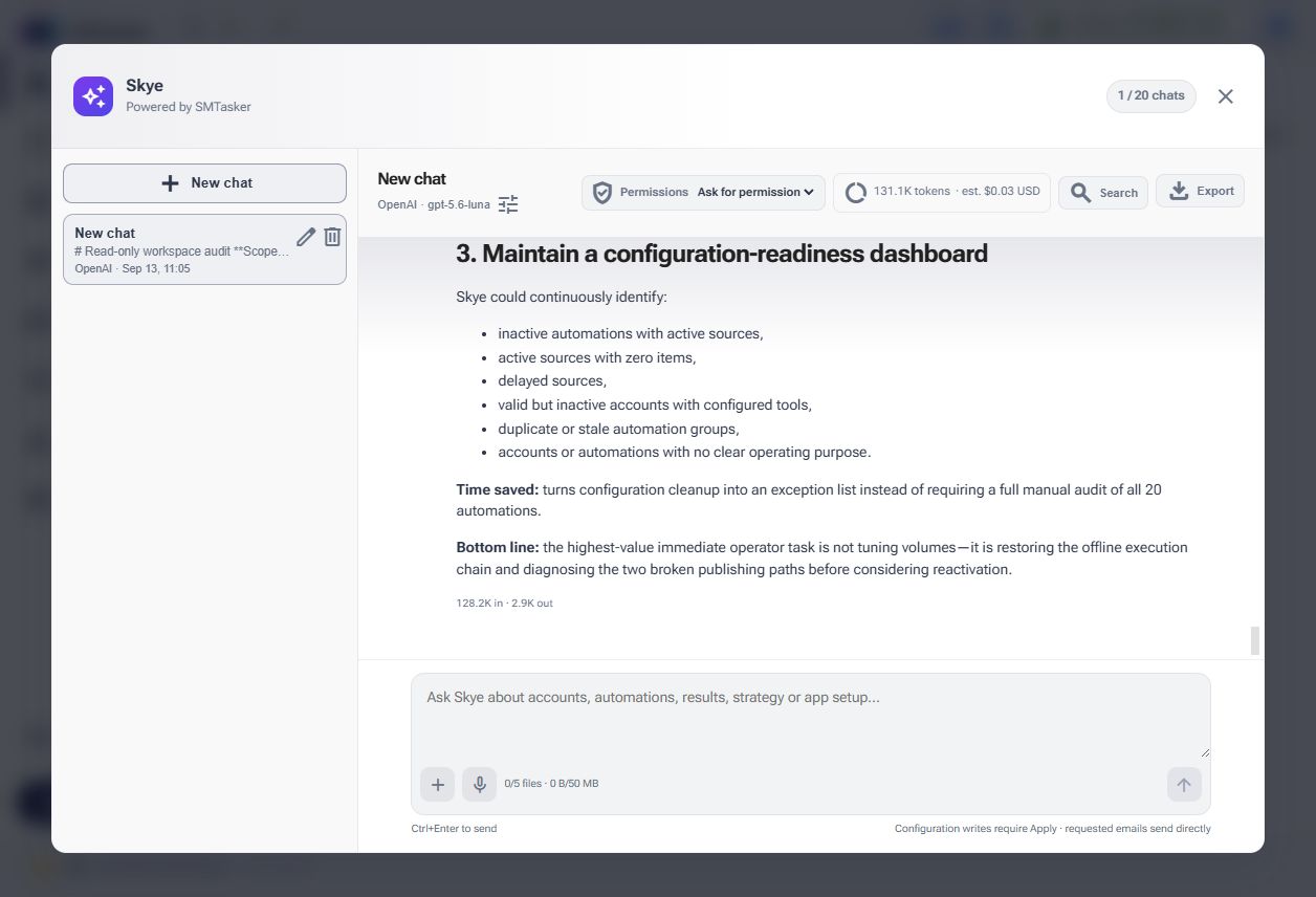 Skye read-only audit response identifying workspace issues such as inactive automations and empty sources
