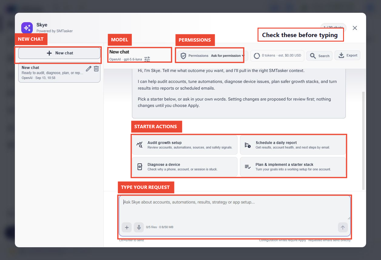 Skye welcome window with New chat on the left, model and permissions across the top, and a message box at the bottom